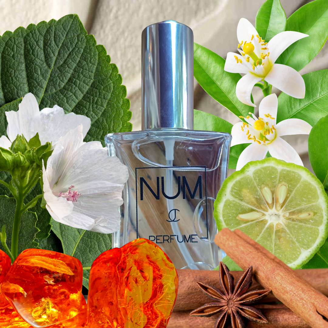 NARCISE. Perfume femenino Amaderado Floral