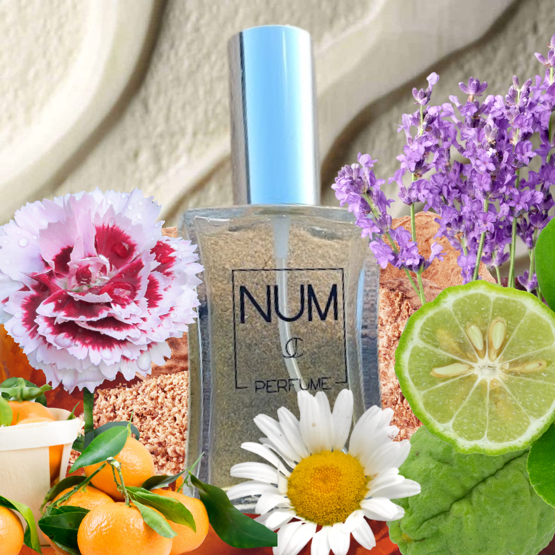 FARA. Perfume masculino Almizcle Amaderado Floral 50ml