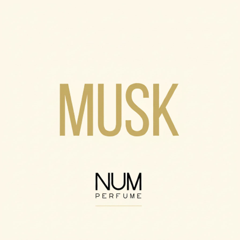 Decant 10ml · Prueba tu perfume favorito | NUM Perfume