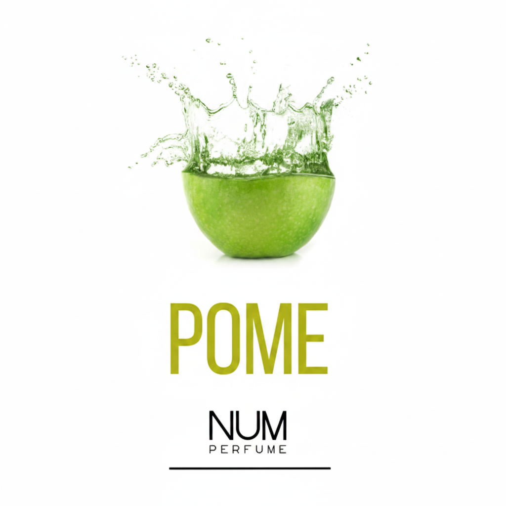 Decant 10ml · Prueba tu perfume favorito | NUM Perfume