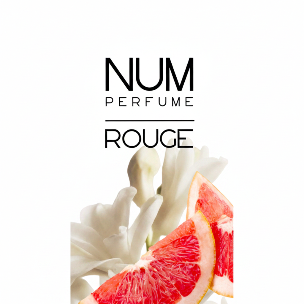 Decant 10ml · Prueba tu perfume favorito | NUM Perfume